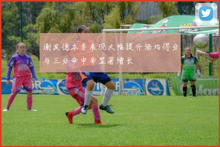 谢泼德本季表现大幅提升场均得分与三分命中率显著增长