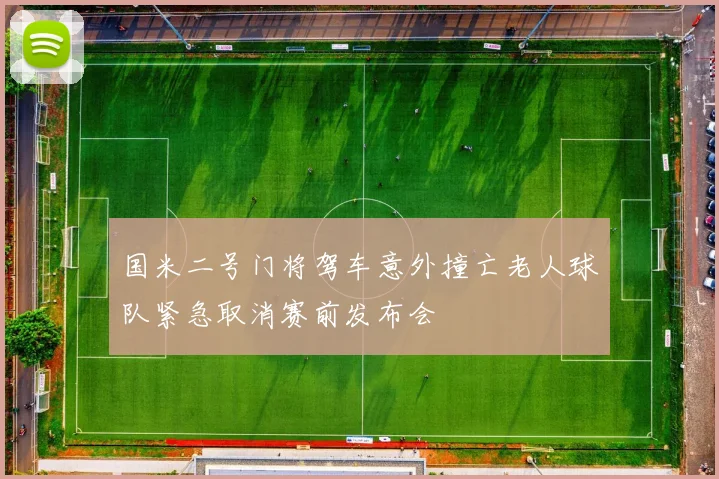 国米二号门将驾车意外撞亡老人球队紧急取消赛前发布会
