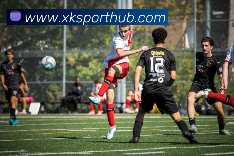 星空体育平台生态图